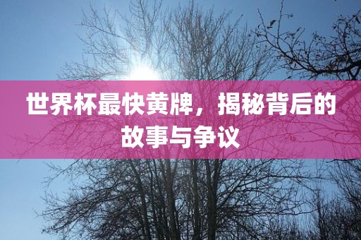 世界杯最快黄牌，揭秘背后的故事与争议