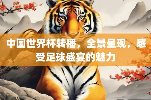 中国世界杯转播，全景呈现，感受足球盛宴的魅力眉山市正发家政服务有限公司
