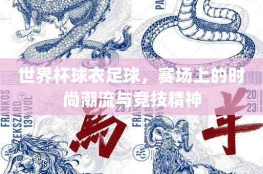 世界杯球衣足球，赛场上的时尚潮流与竞技精神
