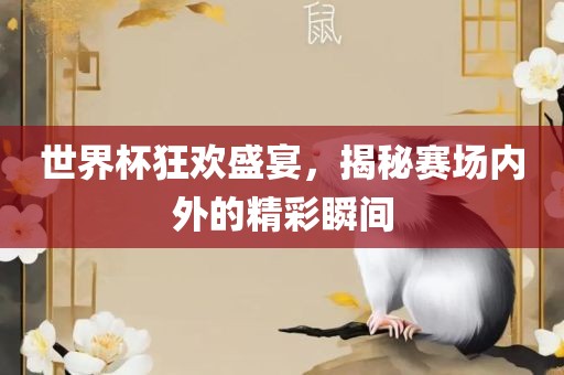 世界杯狂欢盛宴，揭秘赛场内外的精彩瞬间