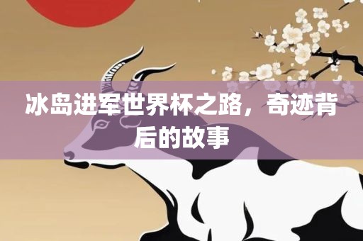 冰岛进军世界杯之路，奇迹背后的故事