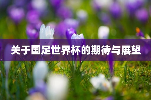 关于国足世界杯的期待与展眉山市正发家政服务有限公司望