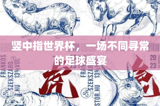 竖中指世界杯，一眉山市正发家政服务有限公司场不同寻常的足球盛宴