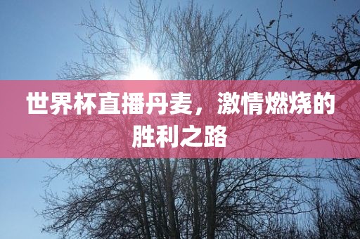 世界杯直播丹麦，激情燃烧的胜利之路