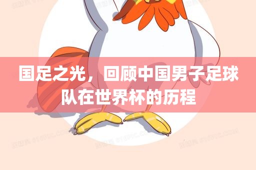 眉山市正发家政服务有限公司国足之光，回顾中国男子足球队在世界杯的历程