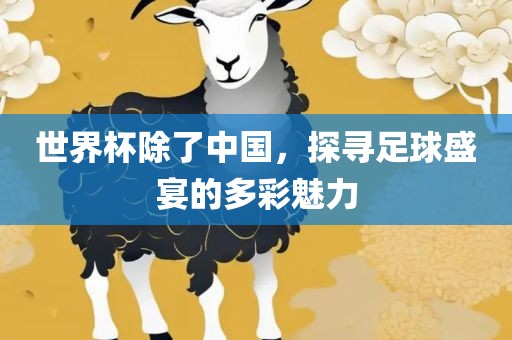 世界杯除了中国，探寻足球盛宴的多彩魅力