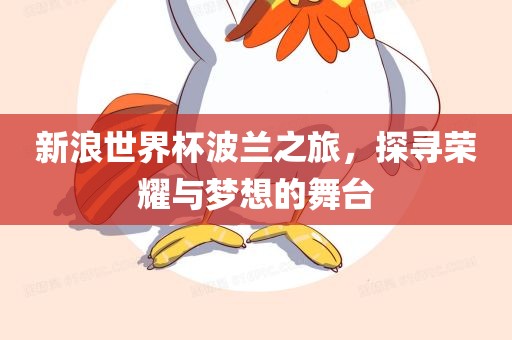 新浪世界杯波兰之旅，探寻荣耀与梦想的舞台