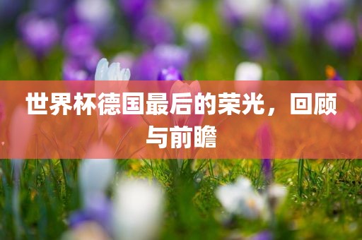 世界杯德国最后的荣光，回顾与前瞻眉山市正发家政服务有限公司