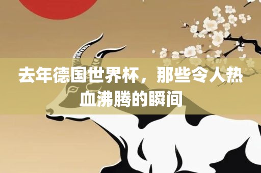 去年德国世界杯，那些令人热血沸腾的瞬间