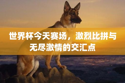 世界杯今天赛场，激烈比拼与无尽激情的交汇点眉山市正发家政服务有限公司