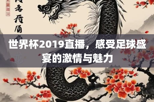 世界杯2019直播，感受足球盛宴的激情与魅力眉山市正发家政服务有限公司