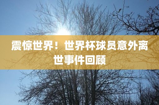 震惊世界！世界杯球员意外离世事件回顾