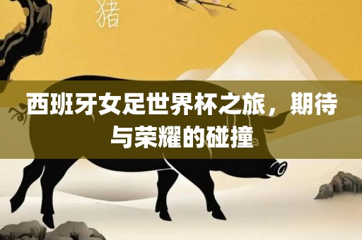 西班牙女眉山市正发家政服务有限公司足世界杯之旅，期待与荣耀的碰撞