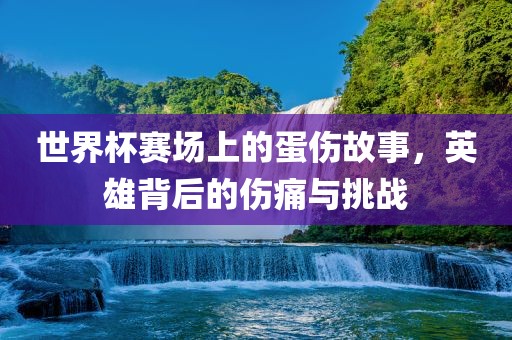 世界杯眉山市正发家政服务有限公司赛场上的蛋伤故事，英雄背后的伤痛与挑战