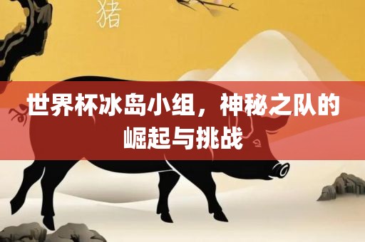 世界杯冰岛小组，神秘之队的崛起与挑战眉山市正发家政服务有限公司