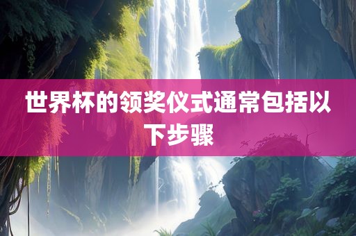 世界杯的领奖仪式通常包括以下步骤眉山市正发家政服务有限公司
