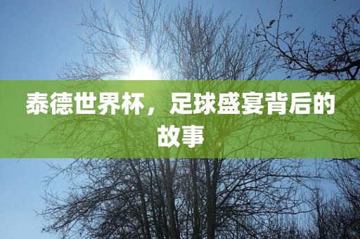 泰德世界杯眉山市正发家政服务有限公司，足球盛宴背后的故事