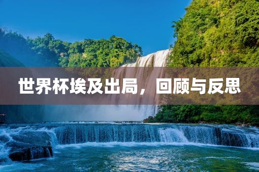 世界杯埃及出局，回顾与反思眉山市正发家政服务有限公司