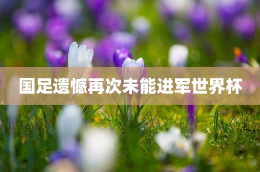 国足遗憾再次未能进军世界杯