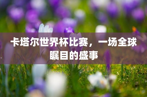 卡塔尔世界杯比赛，一场全球瞩目的盛事眉山市正发家政服务有限公司