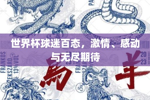 世界杯球迷百态，激情、感动与无尽期待