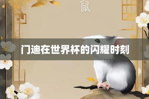 门迪在世界杯的闪耀时刻眉山市正发家政服务有限公司