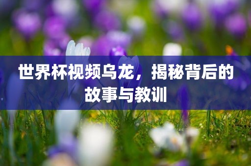 世界杯视频乌龙，揭秘背后的故事与教训