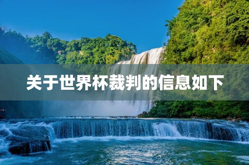 liwenzhen 第10页