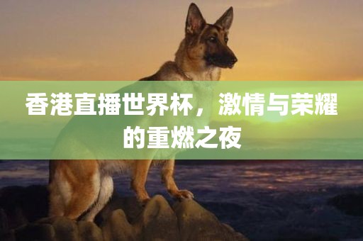 香港直播世界杯，激情与荣耀的重燃之夜眉山市正发家政服务有限公司