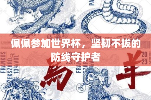 佩佩参加世界杯，坚韧不拔的防线守护者眉山市正发家政服务有限公司