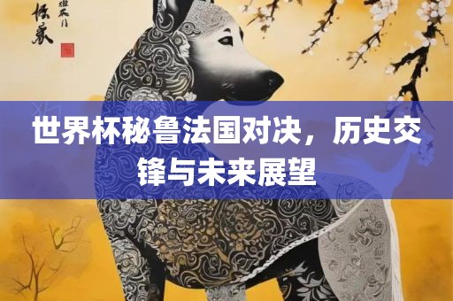 世界杯秘鲁法国对决，历史交锋与未来展望