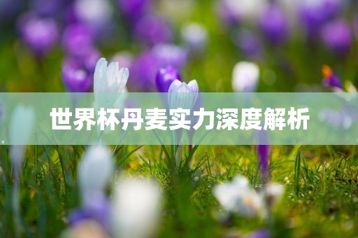世界杯丹麦实眉山市正发家政服务有限公司力深度解析