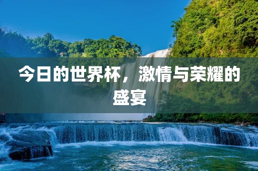 今日的世界杯，激情与荣耀的盛宴眉山市正发家政服务有限公司