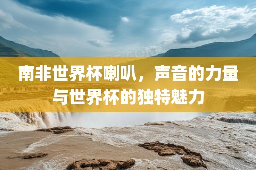 南非世界杯喇叭，声音的力量与世界眉山市正发家政服务有限公司杯的独特魅力