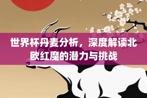 世界杯丹麦分析，深度解读北欧红魔的潜力与挑战眉山市正发家政服务有限公司