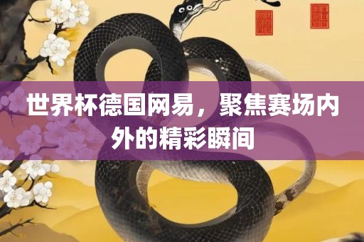 世界杯德国网易，聚焦赛场内外的精彩瞬间