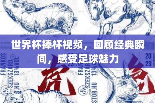 世界杯捧杯视频，回顾经典瞬间，感受足球魅力