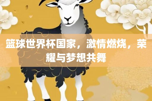 篮球世界杯国家，激情燃烧，荣耀与梦想共舞眉山市正发家政服务有限公司