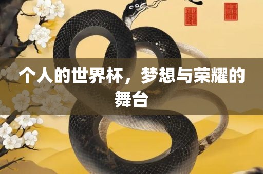 眉山市正发家政服务有限公司个人的世界杯，梦想与荣耀的舞台