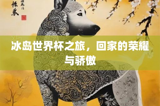 冰岛世界杯之旅，回家的荣耀与骄傲