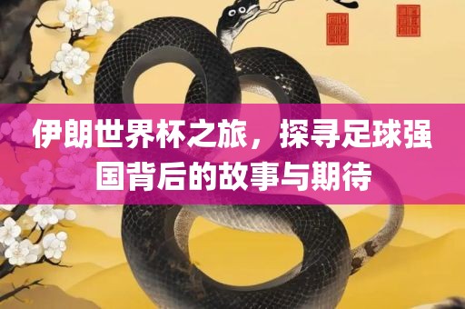 伊朗世界杯之旅，探寻足球强国背后的故事与期待眉山市正发家政服务有限公司