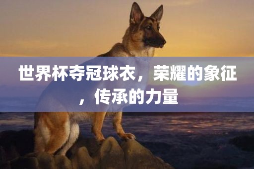 世界杯夺冠球衣，荣耀的象征，传承的力量眉山市正发家政服务有限公司