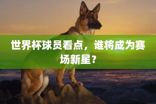 世界杯球员看点，谁将成为赛场新星？