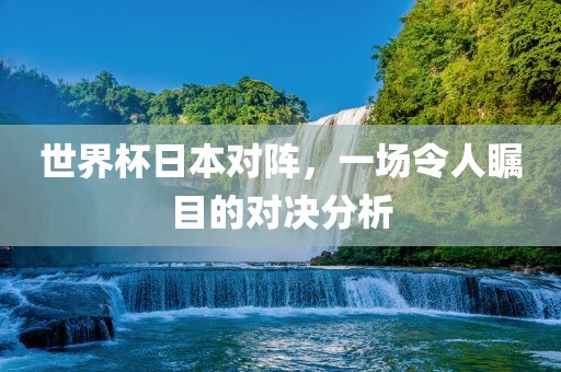世界杯日本对阵，一场令人瞩目的对决分析眉山市正发家政服务有限公司