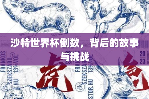 沙特世界杯倒数，背后的故事与挑战眉山市正发家政服务有限公司
