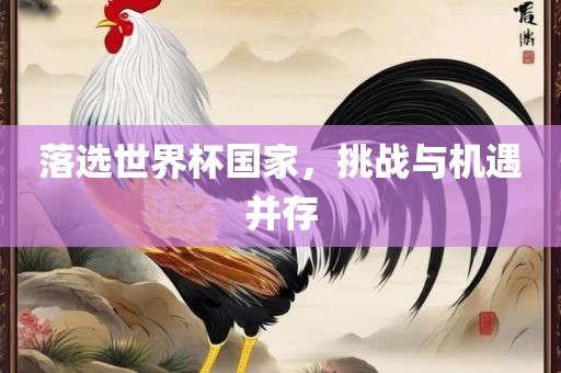 落选世界杯国家，挑战与机遇并存