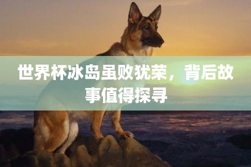 世界杯冰岛虽败犹荣，背后故事值得探寻
