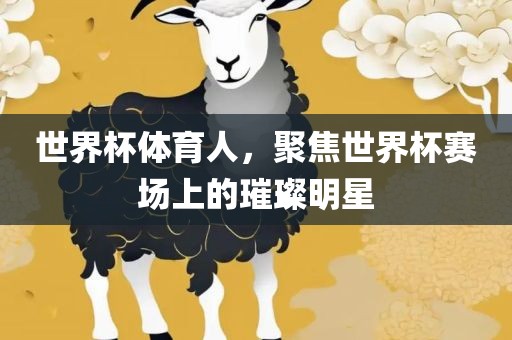 世界杯体育人，聚焦世界杯赛场上的璀璨明星