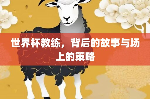 世界杯教练，背后的故事与场上的策略