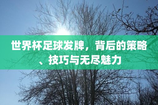 世界杯足球发牌，背后的策略、技巧与无尽魅力眉山市正发家政服务有限公司